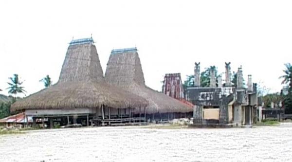Pemakaman Bangsawan dalam Ritual Marapu akan Kembali Dilaksanakan di Kampung Praiyawang