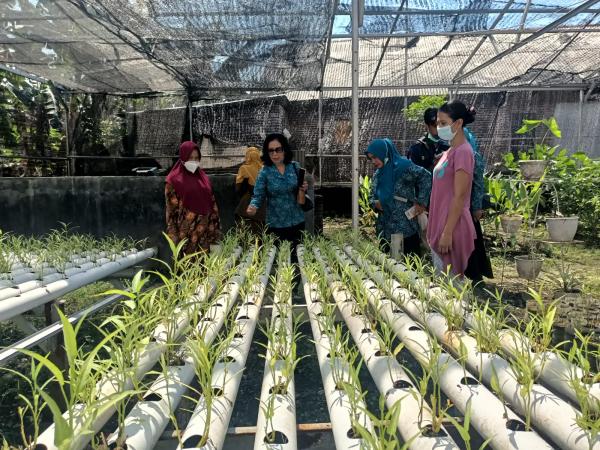 Diwakili Desa Binor, Pemkab Probolinggo Masuk Tiga Besar Lomba PHBS-LBS Tingkat Jatim