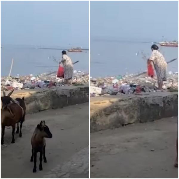 Alamak! Santainya Emak-Emak Buang Sampah saat Aksi Bersih Sampah di Pantai Teluk