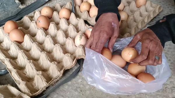 Harga Telur Mahal, Warga di Pandeglang Terpaksa Beli Telur Pecah