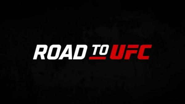 Susul Jeka Seragih, 4 Petarung Indonesia Siap Tampil di Road to UFC Season 2