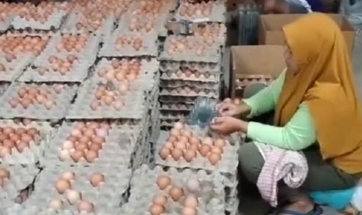 Kendalikan Harga Komoditas Telur Ayam Ras, Pemkot Semarang Gelar Operasi Pasar Murah