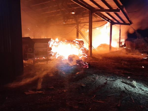 Kebakaran Gudang Triplek, Kerugian Ditaksir Miliaran Rupiah