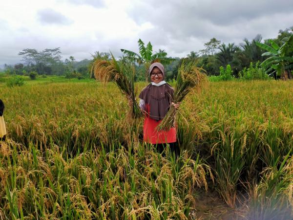 Manfaat Sensus Pertanian 2023 dalam Pengembangan Program Pembangunan Pertanian yang Berkelanjutan