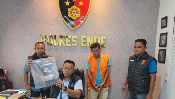 Pelaku TPPO di Ende NTT Berhasil Dibekuk Aparat Kepolisian 15 Orang Jadi Korban