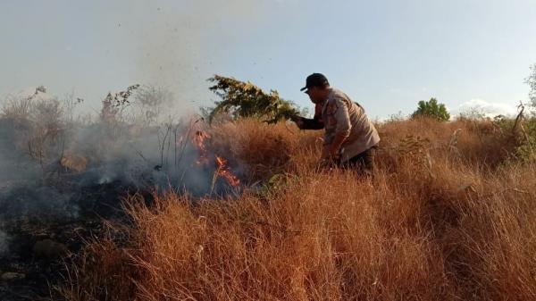Kebakaran Hutan dan Lahan Pegunungan, Kapolsek Kilo: Sengaja Dibakar Warga Usai Panen
