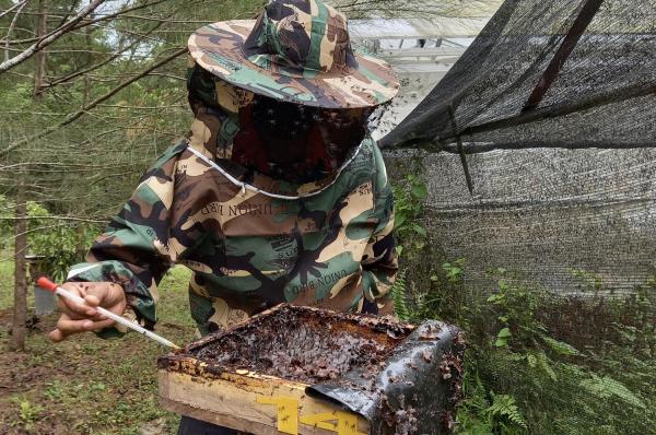 Lahan Pascatambang Semen Baturaja Jadi Sarang Lebah Trigona