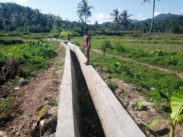 Manfaatkan Dana Desa, Pekon Rantau Tijang Buat Saluran Irigasi dan TPT