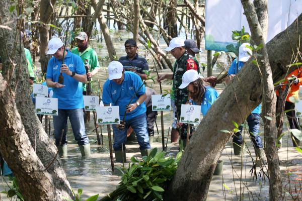 Asuransi Astra Tanam Ribuan Bibit Pohon Mangrove di Surabaya