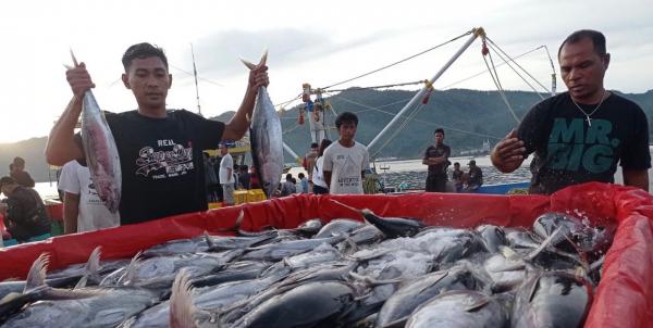 Diminati Nelayan, Sistem Resi Gudang Komoditas Ikan Meningkat Tajam