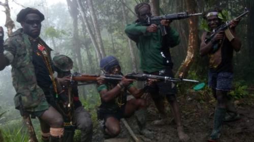 Pasukan TNI Sikat KKB Teroris , 14 Nakes Kembali Bertugas Usai Diancam
