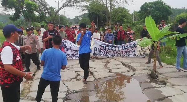 Bentuk Kekesalan Terhadap Pemprov Banten Puluhan Warga dan Ormas Tanam Pohon Pisang di Jalan Rusak