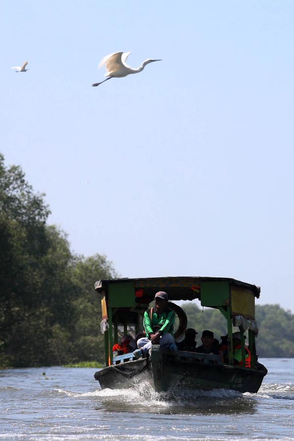 a sample image