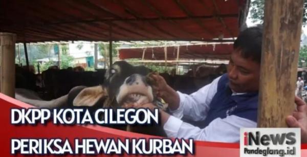 Jelang Idul Adha, Kesehatan Hewan Kurban di Lapak Penjual Diperiksa DKPP Cilegon