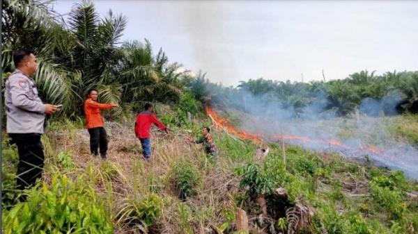 Karhutla di Riau Hanguskan 481 Hektare di 9 Wilayah