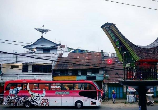 Dirikan PO Primadona untuk Majukan Kampung Halaman di Toraja, Inilah Kisahnya