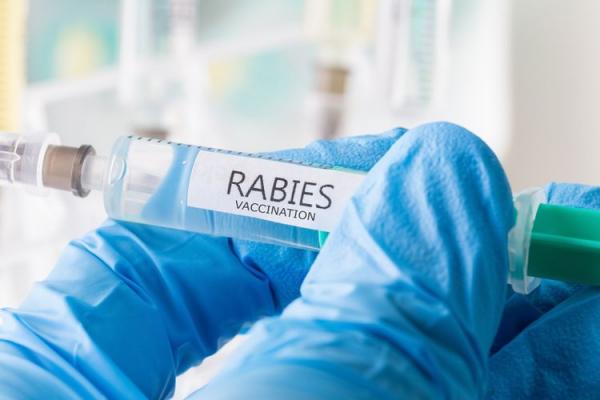 Rabies di Indonesia Naik ke Kejadian Luar Biasa! Yuk Simak Cara Dapetin Vaksin dari Pemerintah