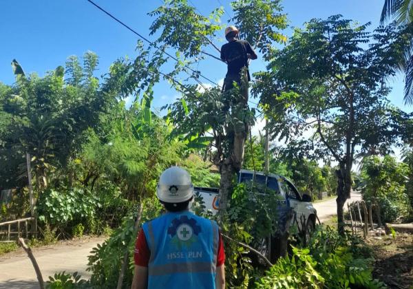 Antisipasi Gangguan Pasokan Listrik PLN UP Tanggeung Pangkas Pohon di Jaringan Kabel