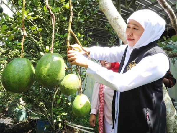 Wisata Jawa Timur Tumbuh Ekonomi Berkembang, Ini Ungkapan Bangga dari Gubernur Khofifah