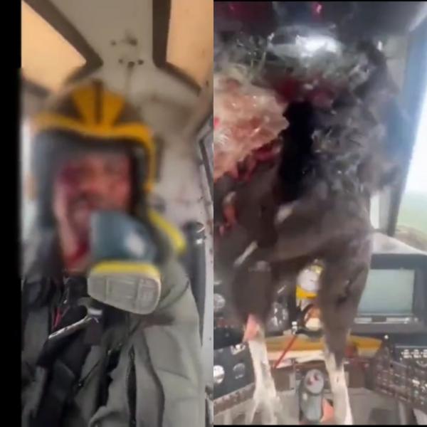 Viral! Burung Kondor Raksasa Tabrak Pesawat, Pilot Bersimbah Darah