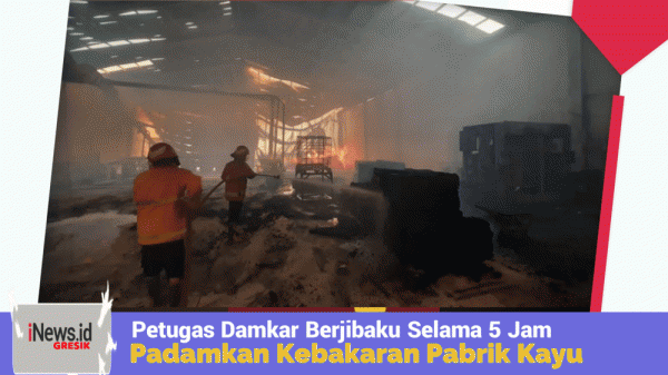 Berjibaku Selama 5 Jam, Petugas Damkar Gresik Berhasil Jinakkan Kebakaran di Gudang Pabrik Kayu