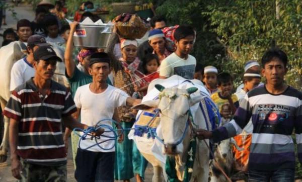 7 Tradisi Unik Perayaan Idul Adha di Indonesia, Salah Satunya Manten Sapi