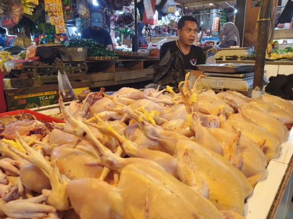 Waduh! Pedagang Daging Ayam di Cianjur Ancam Mogok Jualan Ada Apa?