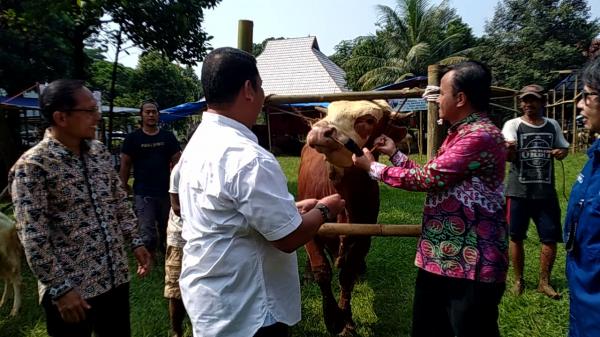 Kementan Himbau Masyarakat dan Peternak Jaga Sanitasi dan Kebersihan Hewan Kurban