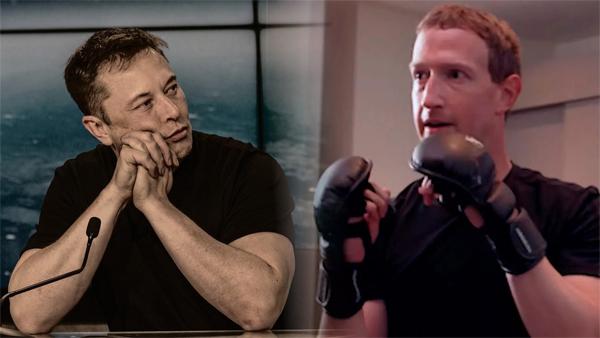 Elon Musk Tantang Zuckerberg Duel di Atas Ring, Berpotensi hasilkan Rp15 Triliun