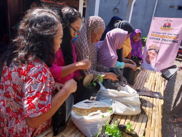 Mak Ganjar Ajak Masyarakat Manfaatkan Pekarangan Rumah Untuk Hidroponik