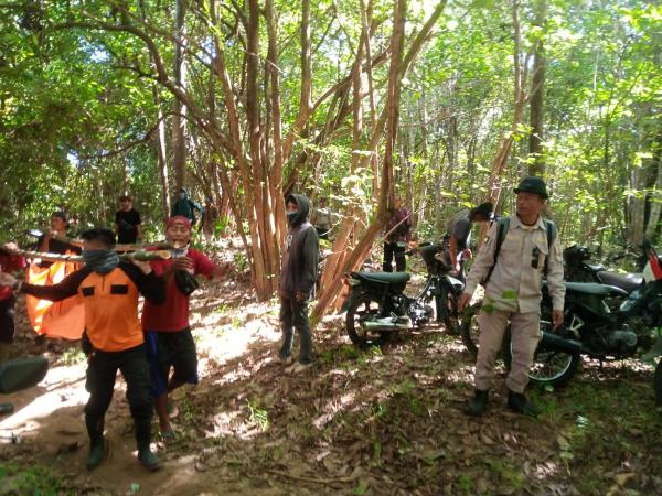 Tragis! Penyadap Kelapa yang Hilang di Hutan Lindung Cikepuh Ciracap Ditemukan Tewas 