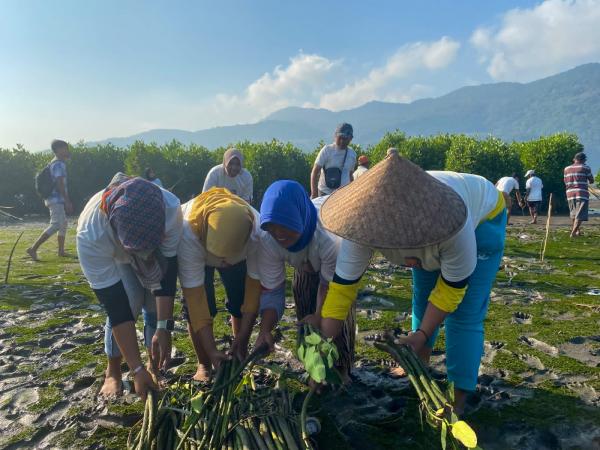 Nelayan Ganjar Beri Edukasi dan Konservasi Pentingnya Hutan Mangrove