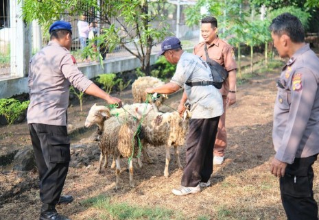 Idul Adha 2023, Cirebon Power Distribusikan Puluhan Hewan Kurban
