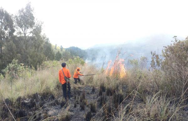 Total Areal Kebakaran Hutan Lindung Ijen Capai 10 Hektar