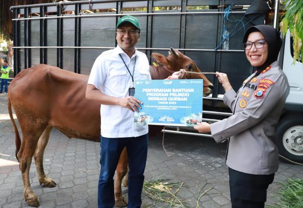 Idul Adha, Pelindo Regional 3 Salurkan Bantuan Kurban Lebih dari 85 Ekor Sapi