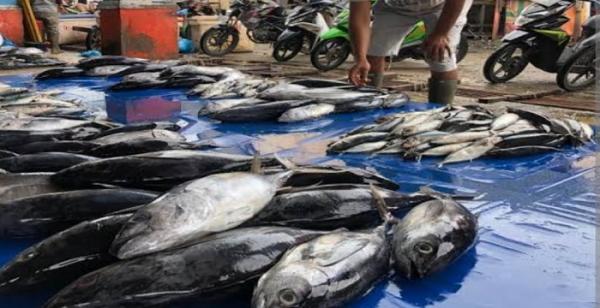 Sentra Kuliner Ikan Lengkapi Fasilitas Kawasan Wisata Jatigede Sumedang