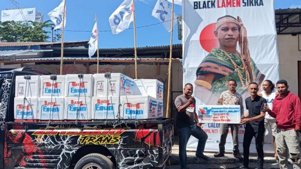 Caleg DPR RI dari Partai Perindo, Emanuel Herdiyanto Bantu Boks Ikan Untuk UMKM di Sikka