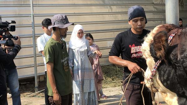 Nangis Sapi Kurbannya Disembelih, Ria Ricis : Sampai Ketemu di Surga