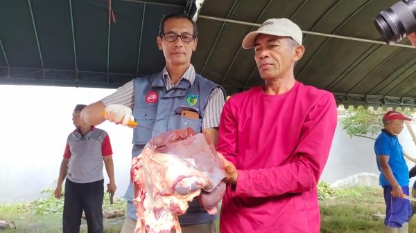 Antisipasi Daging Kurban Tak Layak Konsumsi, DKPP Sidak Penyembelihan Hewan Kurban