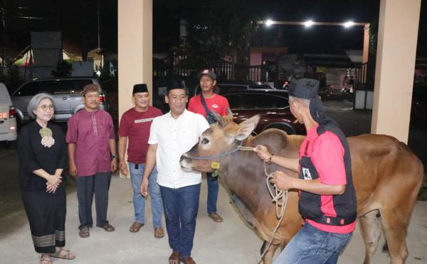 Idul Adha 1444 H, Indah Kurnia Bagikan Puluhan Kambing dan Sapi