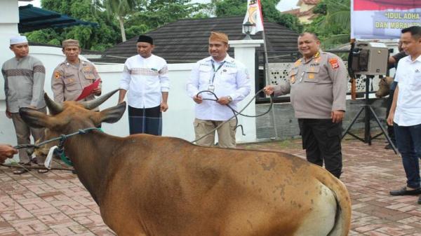 Polda dan Polres di Maluku Salurkan 106 Ekor Hewan Kurban