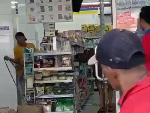 Viral! Sapi Kurban Ngamuk Masuk Minimarket Malingping, Pengunjung dan Pegawai Panik