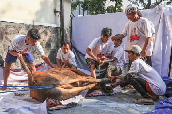 Orang Muda Ganjar Jatim Sembelih Hewan Kurban Bersama Pemuda di Surabaya