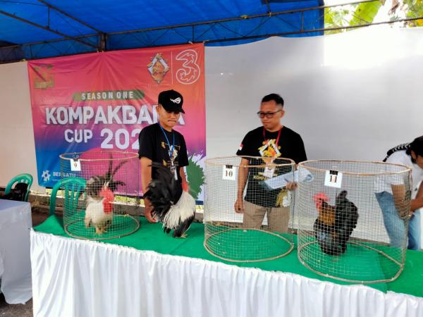 Meriah, Kontes Ayam Kate Kompakbara Cup 2023 di Banjarnegara