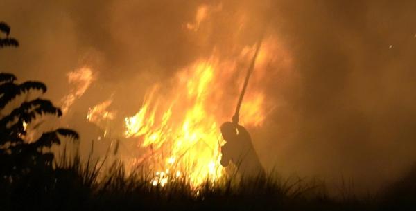 Lahan Kosong di Cilegon Terbakar, Api Diduga dari Puntung Rokok