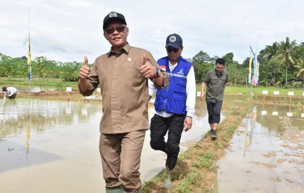 Wakil Ketua DPRD Kalimantan Timur Fokus Bangun Stabilitas Ketahanan Pangan