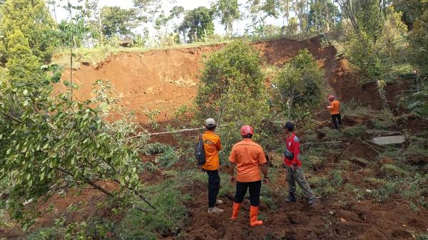 Detik-Detik Mencekam Longsor di Sawahan, Warga Dengar Gemuruh dan Batang-Batang Pohon Tumbang