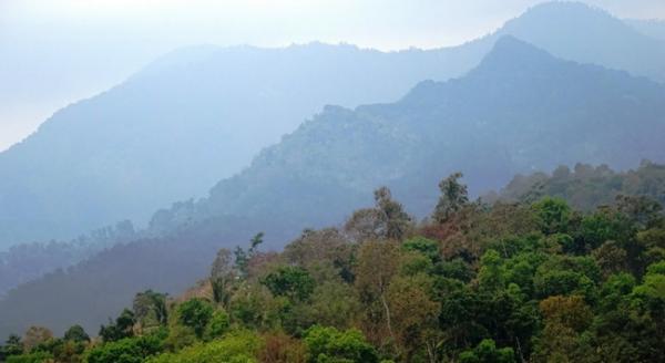Cerita Mistis Suara Gamelan Pentas Wayang Mengalun di Puncak Gunung Argowayang Jombang 