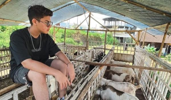 Kisah Sukses Artis Cilik Alih Profesi jadi Juragan Kambing, Kini Omzetnya Capai Miliaran Rupiah