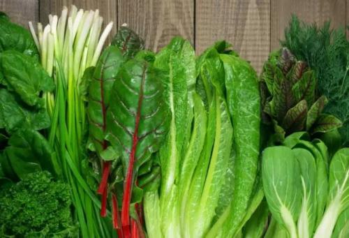 Rentan Terkontaminasi, Hindari Makan 5 Sayuran Ini saat Musim Hujan ya !